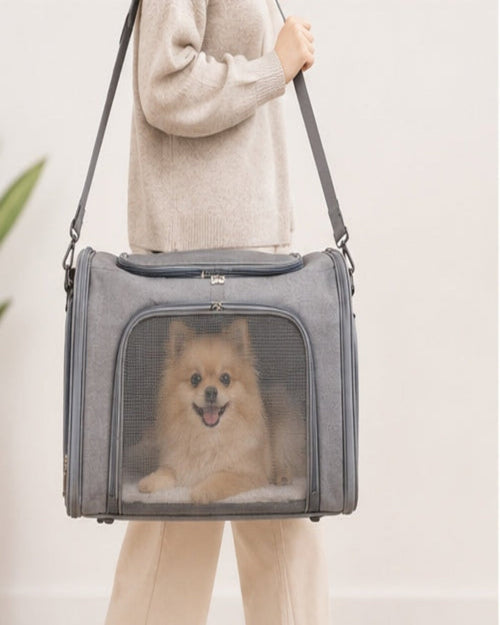 A gray pet carrier bag with a small fluffy dog visible through a mesh front window, carried on the shoulder of a person wearing a beige sweater and pants against a light neutral background.